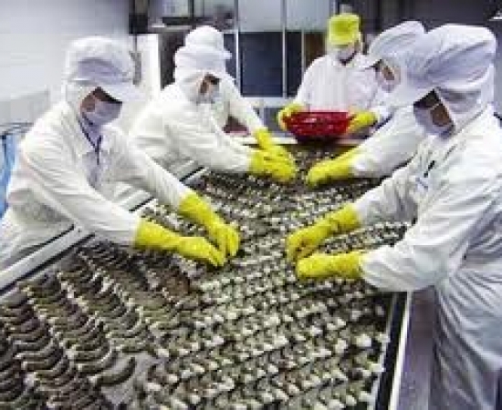  Vietnam: Back to Organic?